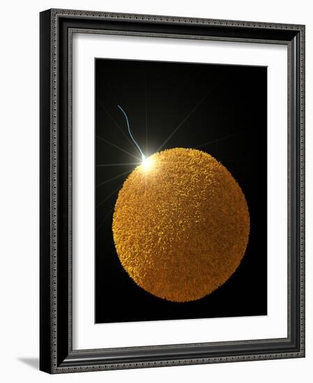 Fertilization-David Mack-Framed Photographic Print