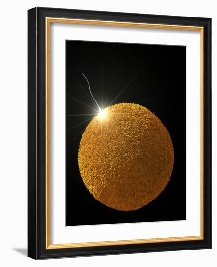 Fertilization-David Mack-Framed Photographic Print