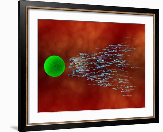 Fertilization-David Mack-Framed Photographic Print