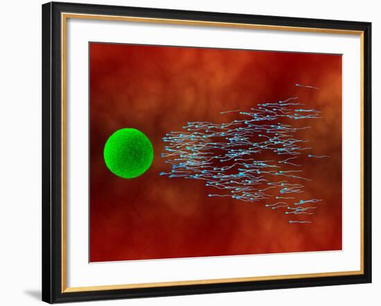 Fertilization-David Mack-Framed Photographic Print