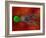 Fertilization-David Mack-Framed Photographic Print