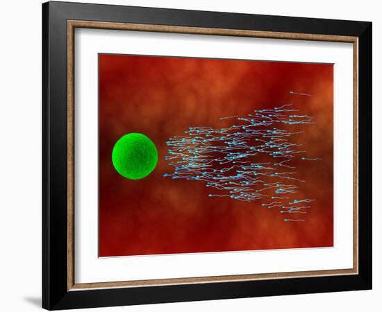 Fertilization-David Mack-Framed Photographic Print