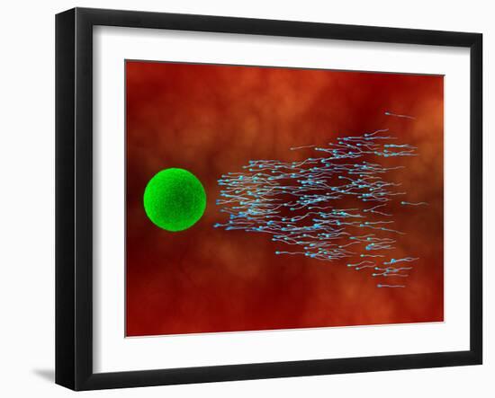 Fertilization-David Mack-Framed Photographic Print