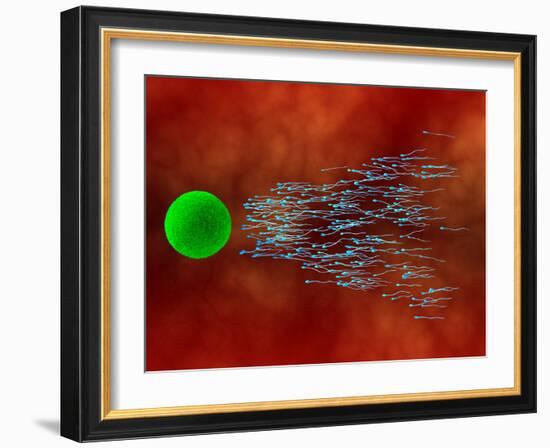 Fertilization-David Mack-Framed Photographic Print