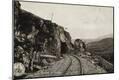 Photographic Print