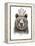 Festival Bear-Balazs Solti-Framed Stretched Canvas