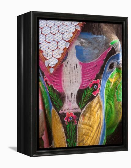 Festival of Colors II-Art Wolfe-Framed Premier Image Canvas