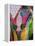 Festival of Colors II-Art Wolfe-Framed Premier Image Canvas