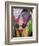 Festival of Colors II-Art Wolfe-Framed Photographic Print