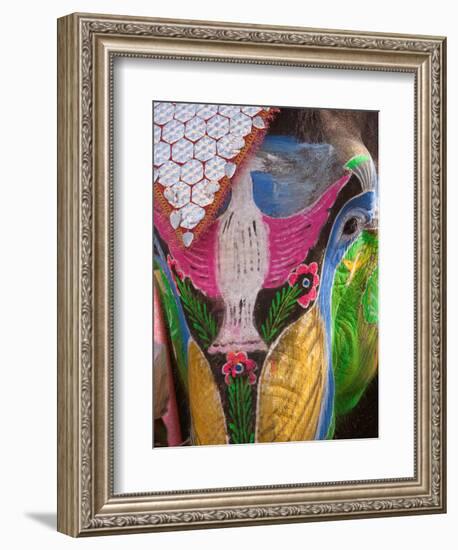 Festival of Colors II-Art Wolfe-Framed Photographic Print