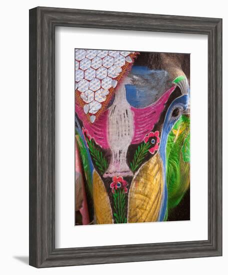 Festival of Colors II-Art Wolfe-Framed Photographic Print