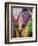 Festival of Colors II-Art Wolfe-Framed Photographic Print