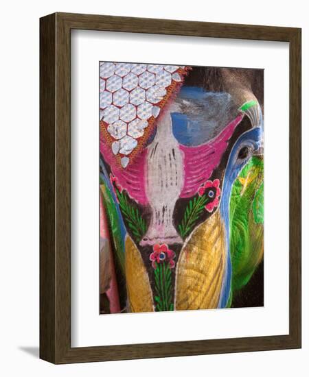 Festival of Colors II-Art Wolfe-Framed Photographic Print