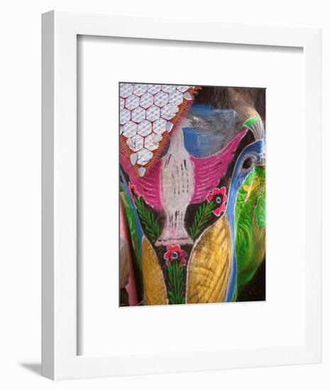 Festival of Colors II-Art Wolfe-Framed Photographic Print