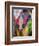 Festival of Colors II-Art Wolfe-Framed Photographic Print