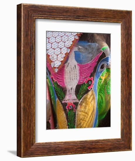 Festival of Colors II-Art Wolfe-Framed Photographic Print