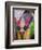 Festival of Colors II-Art Wolfe-Framed Photographic Print