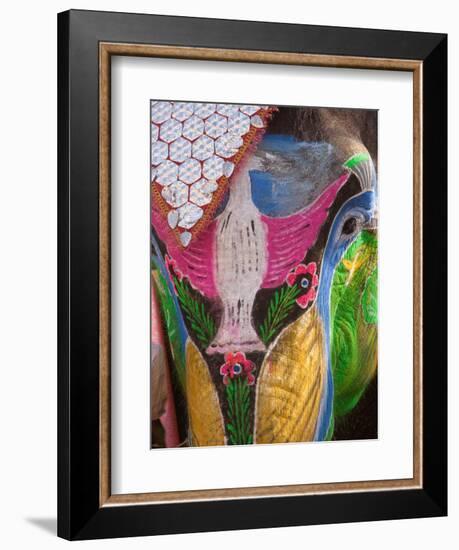 Festival of Colors II-Art Wolfe-Framed Photographic Print