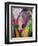 Festival of Colors II-Art Wolfe-Framed Photographic Print