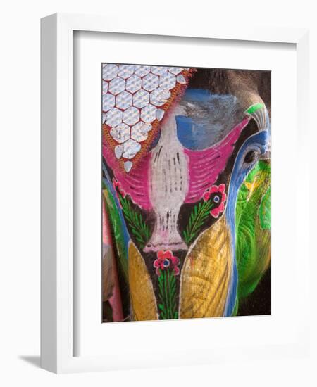 Festival of Colors II-Art Wolfe-Framed Photographic Print