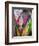 Festival of Colors II-Art Wolfe-Framed Photographic Print