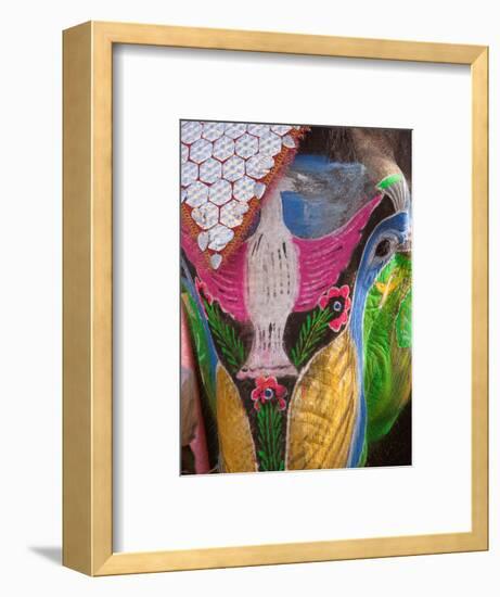 Festival of Colors II-Art Wolfe-Framed Photographic Print