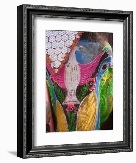 Festival of Colors II-Art Wolfe-Framed Photographic Print