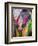 Festival of Colors II-Art Wolfe-Framed Photographic Print