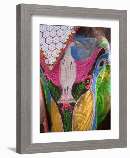 Festival of Colors II-Art Wolfe-Framed Photographic Print