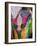 Festival of Colors II-Art Wolfe-Framed Photographic Print