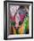 Festival of Colors II-Art Wolfe-Framed Photographic Print