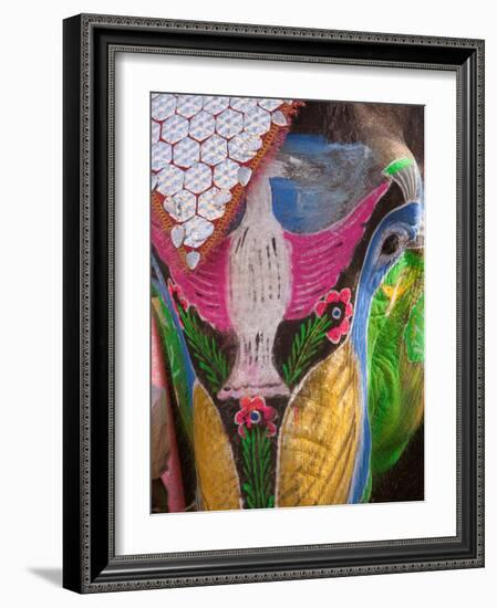 Festival of Colors II-Art Wolfe-Framed Photographic Print