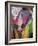 Festival of Colors II-Art Wolfe-Framed Photographic Print