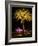 Festival of Light, Sydney Opera House and Palm Tree, Sydney, New South Wales, Australia, Pacific-Mark Mawson-Framed Photographic Print