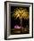 Festival of Light, Sydney Opera House and Palm Tree, Sydney, New South Wales, Australia, Pacific-Mark Mawson-Framed Photographic Print