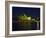 Festival of Light, Sydney Opera House, Sydney, New South Wales, Australia-Mark Mawson-Framed Photographic Print