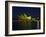 Festival of Light, Sydney Opera House, Sydney, New South Wales, Australia-Mark Mawson-Framed Photographic Print