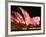 Festival of Light, Sydney Opera House, Sydney, New South Wales, Australia-Mark Mawson-Framed Photographic Print