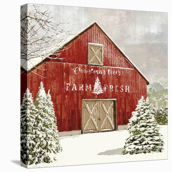 Festive Farm - Barn-Mark Chandon-Framed Stretched Canvas