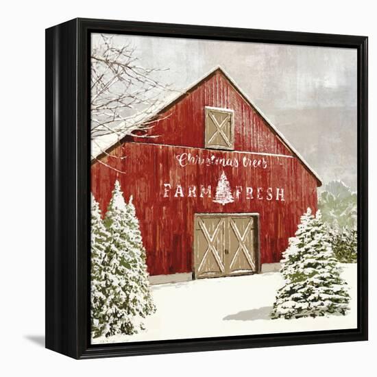 Festive Farm - Barn-Mark Chandon-Framed Stretched Canvas