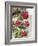 Festive Frills-Assaf Frank-Framed Giclee Print