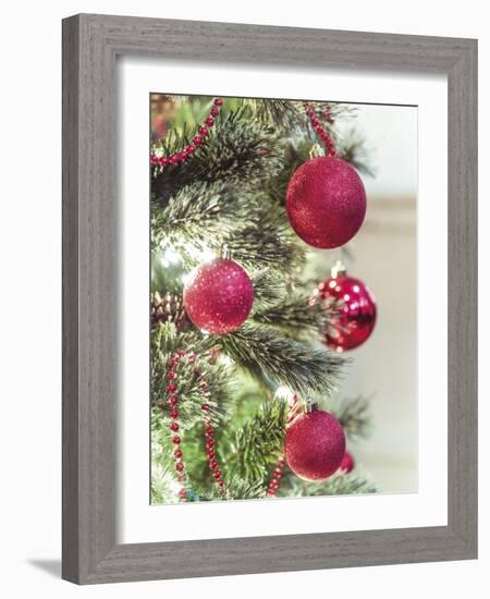 Festive Frills-Assaf Frank-Framed Giclee Print