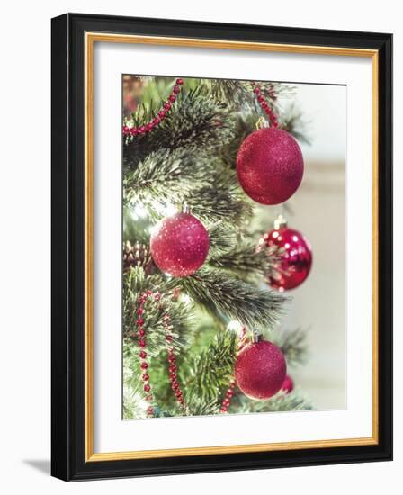 Festive Frills-Assaf Frank-Framed Giclee Print