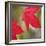 Festive Maple III-Rita Crane-Framed Photographic Print