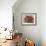 Festive Poinsettia Basket-Barbara Mock-Framed Giclee Print displayed on a wall
