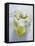 Feta Cheese-David Munns-Framed Premier Image Canvas