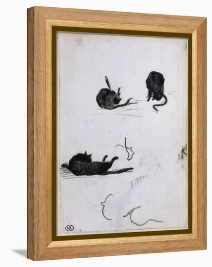 Feuille d'études de chat-Edouard Manet-Framed Premier Image Canvas