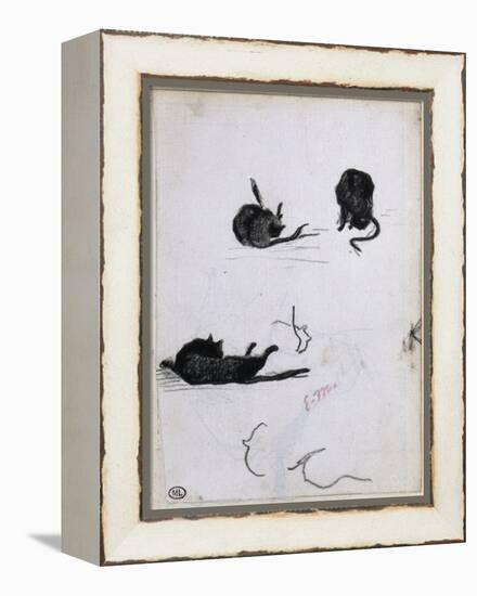 Feuille d'études de chat-Edouard Manet-Framed Premier Image Canvas