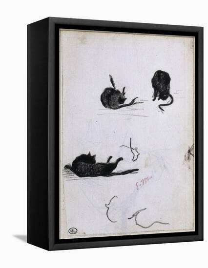 Feuille d'études de chat-Edouard Manet-Framed Premier Image Canvas