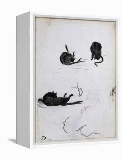 Feuille d'études de chat-Edouard Manet-Framed Premier Image Canvas